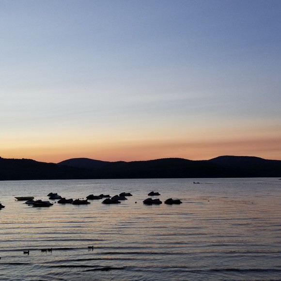 Meet your Posher, Mackenzie - Picture 1 of 1